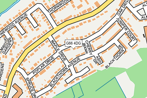 G66 4DG map - OS OpenMap – Local (Ordnance Survey)