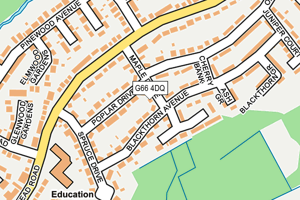G66 4DQ map - OS OpenMap – Local (Ordnance Survey)
