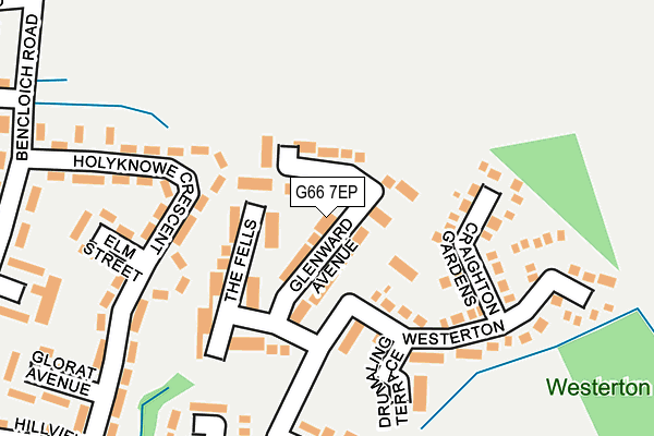 G66 7EP map - OS OpenMap – Local (Ordnance Survey)