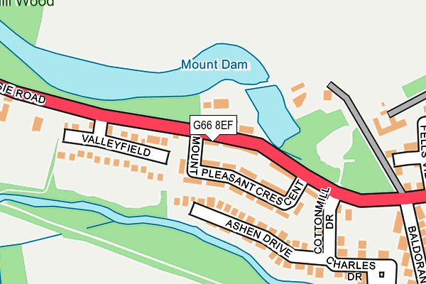 G66 8EF map - OS OpenMap – Local (Ordnance Survey)