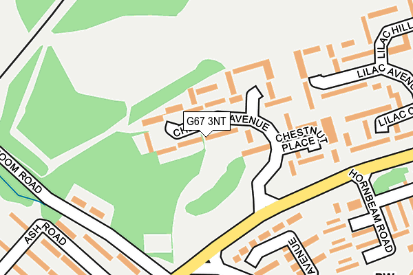 G67 3NT map - OS OpenMap – Local (Ordnance Survey)