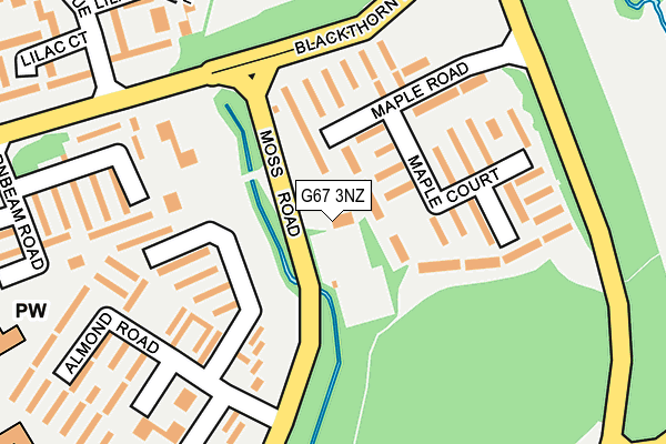 G67 3NZ map - OS OpenMap – Local (Ordnance Survey)