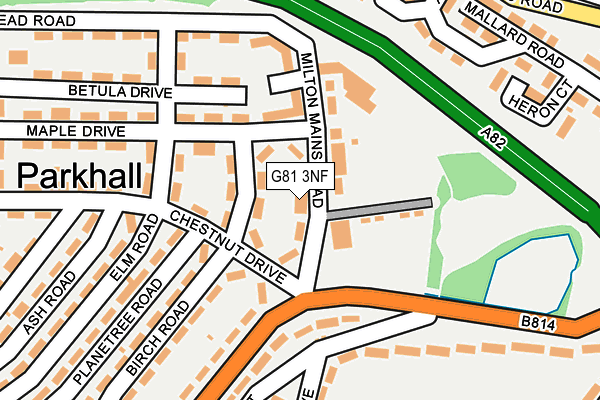G81 3NF map - OS OpenMap – Local (Ordnance Survey)