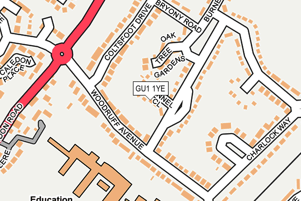 GU1 1YE map - OS OpenMap – Local (Ordnance Survey)