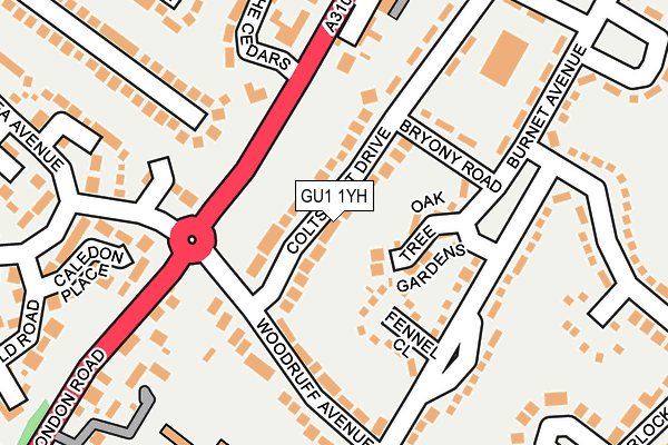 GU1 1YH map - OS OpenMap – Local (Ordnance Survey)