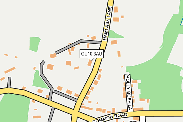 GU10 3AU map - OS OpenMap – Local (Ordnance Survey)