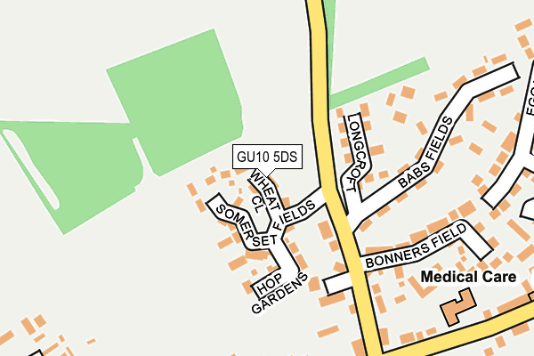 GU10 5DS map - OS OpenMap – Local (Ordnance Survey)