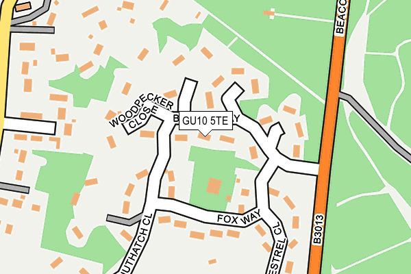 GU10 5TE map - OS OpenMap – Local (Ordnance Survey)