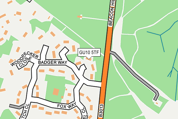 GU10 5TF map - OS OpenMap – Local (Ordnance Survey)