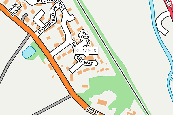 GU17 9DX map - OS OpenMap – Local (Ordnance Survey)