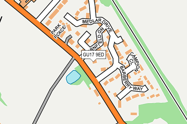 GU17 9ED map - OS OpenMap – Local (Ordnance Survey)
