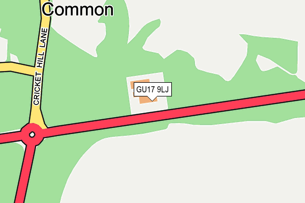 GU17 9LJ map - OS OpenMap – Local (Ordnance Survey)