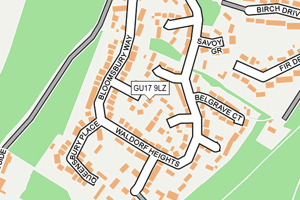 GU17 9LZ map - OS OpenMap – Local (Ordnance Survey)