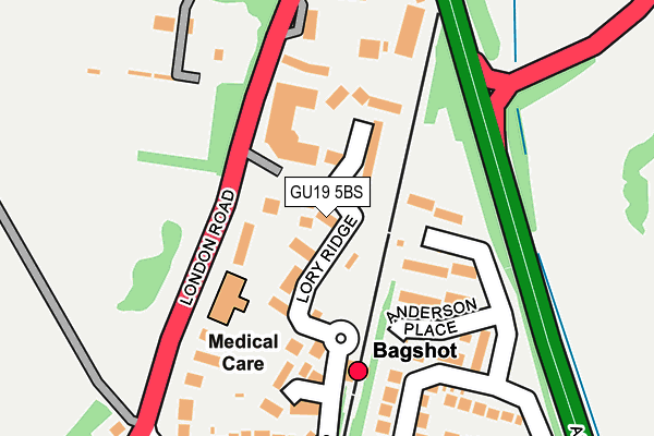 GU19 5BS map - OS OpenMap – Local (Ordnance Survey)