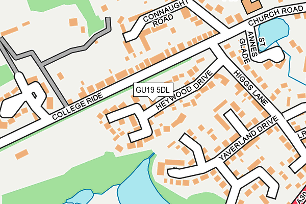 GU19 5DL map - OS OpenMap – Local (Ordnance Survey)