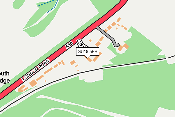 GU19 5EH map - OS OpenMap – Local (Ordnance Survey)