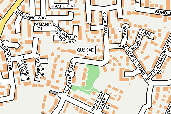 GU2 9AE map - OS OpenMap – Local (Ordnance Survey)