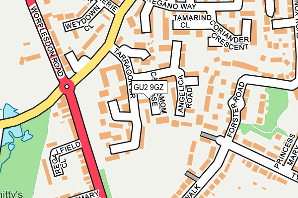 GU2 9GZ map - OS OpenMap – Local (Ordnance Survey)