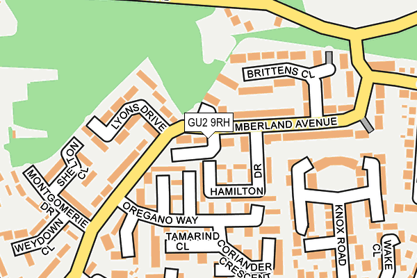 GU2 9RH map - OS OpenMap – Local (Ordnance Survey)