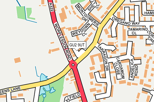 GU2 9UT map - OS OpenMap – Local (Ordnance Survey)