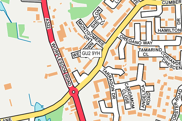 GU2 9YH map - OS OpenMap – Local (Ordnance Survey)