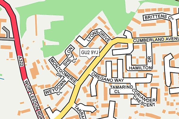 GU2 9YJ map - OS OpenMap – Local (Ordnance Survey)