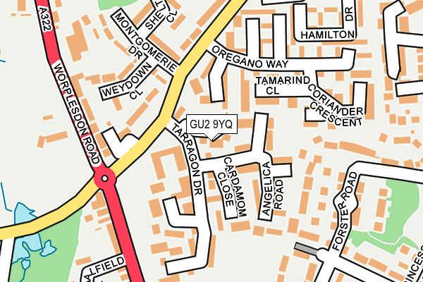 GU2 9YQ map - OS OpenMap – Local (Ordnance Survey)
