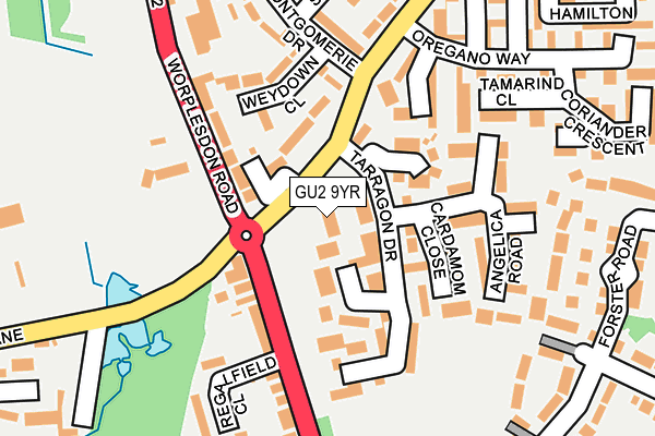 GU2 9YR map - OS OpenMap – Local (Ordnance Survey)