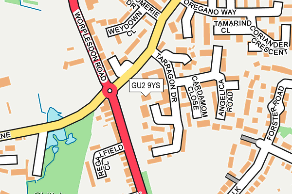 GU2 9YS map - OS OpenMap – Local (Ordnance Survey)