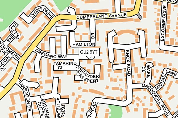 GU2 9YT map - OS OpenMap – Local (Ordnance Survey)