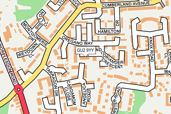 GU2 9YY map - OS OpenMap – Local (Ordnance Survey)