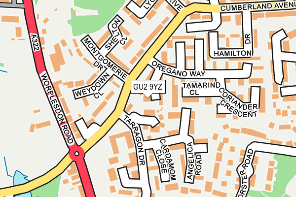 GU2 9YZ map - OS OpenMap – Local (Ordnance Survey)