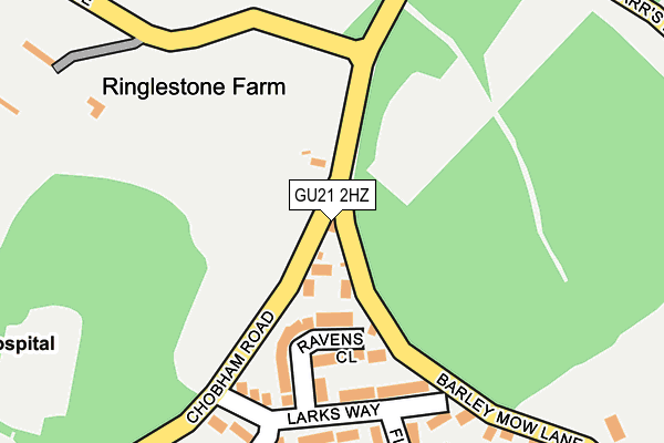 GU21 2HZ map - OS OpenMap – Local (Ordnance Survey)