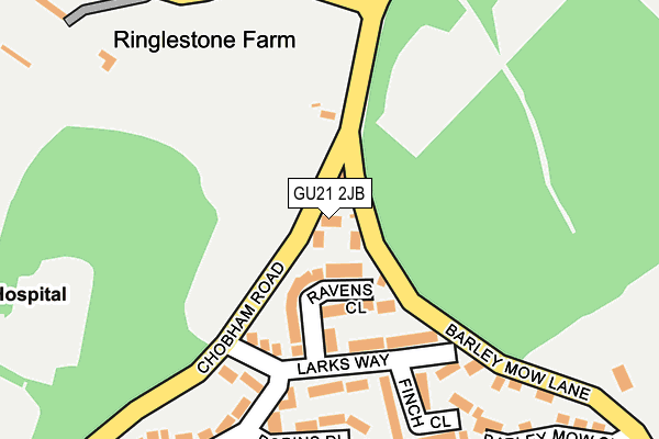 GU21 2JB map - OS OpenMap – Local (Ordnance Survey)