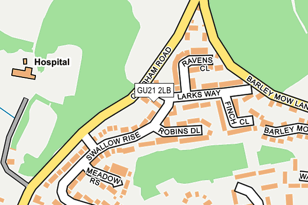 GU21 2LB map - OS OpenMap – Local (Ordnance Survey)