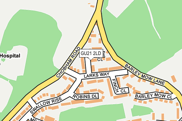 GU21 2LD map - OS OpenMap – Local (Ordnance Survey)