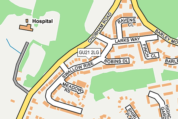 GU21 2LG map - OS OpenMap – Local (Ordnance Survey)