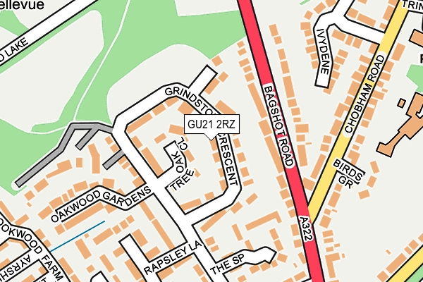 GU21 2RZ map - OS OpenMap – Local (Ordnance Survey)