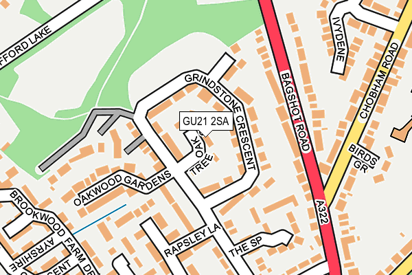 GU21 2SA map - OS OpenMap – Local (Ordnance Survey)