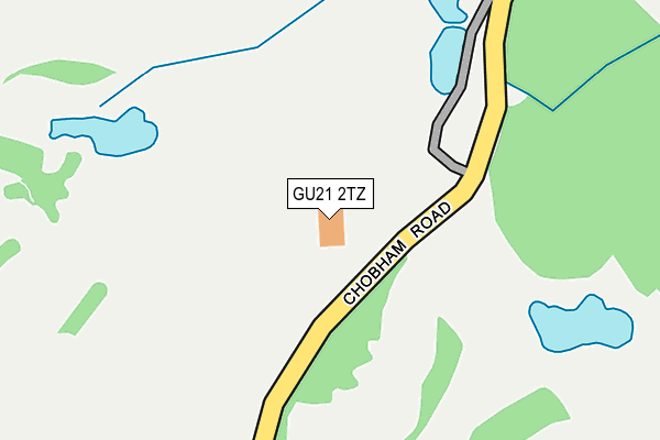 GU21 2TZ map - OS OpenMap – Local (Ordnance Survey)