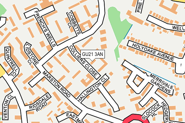 GU21 3AN map - OS OpenMap – Local (Ordnance Survey)