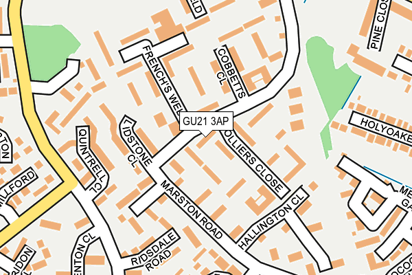 GU21 3AP map - OS OpenMap – Local (Ordnance Survey)