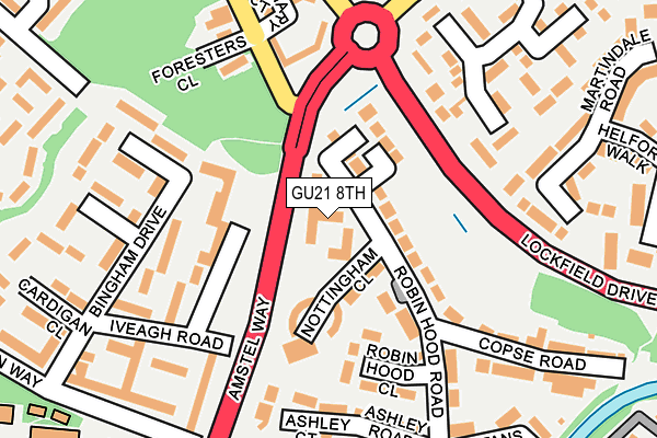 GU21 8TH map - OS OpenMap – Local (Ordnance Survey)