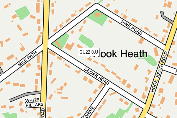GU22 0JJ map - OS OpenMap – Local (Ordnance Survey)