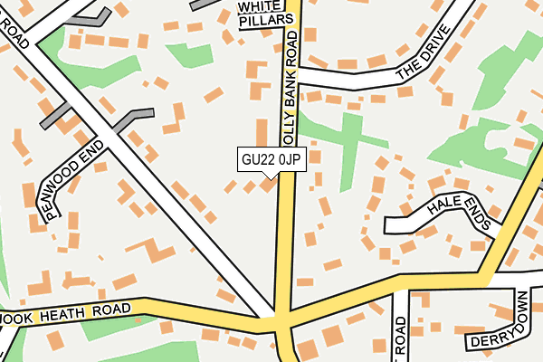 GU22 0JP map - OS OpenMap – Local (Ordnance Survey)