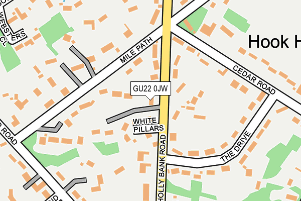 GU22 0JW map - OS OpenMap – Local (Ordnance Survey)