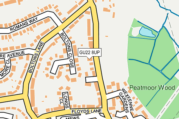 GU22 8UP map - OS OpenMap – Local (Ordnance Survey)