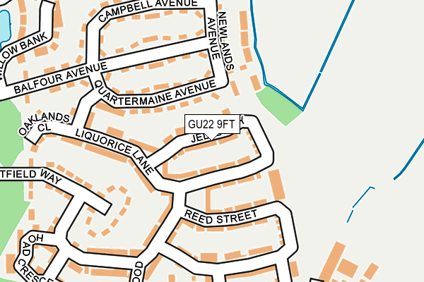 GU22 9FT map - OS OpenMap – Local (Ordnance Survey)