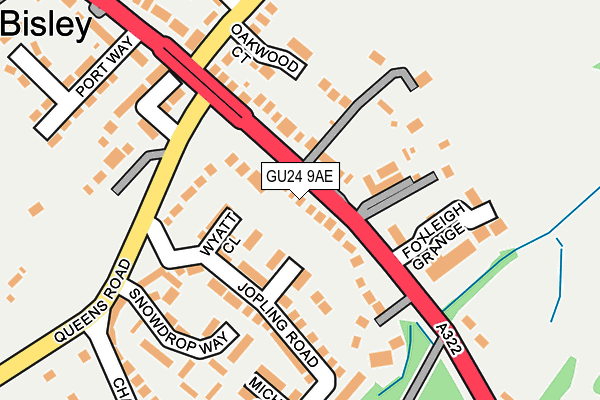 GU24 9AE map - OS OpenMap – Local (Ordnance Survey)