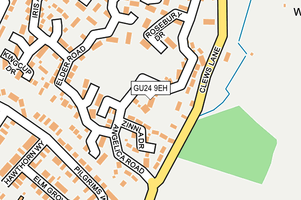 GU24 9EH map - OS OpenMap – Local (Ordnance Survey)